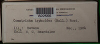 Image Associated With the Occurence